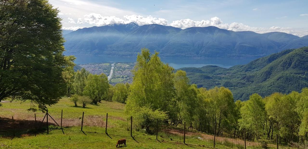 Appartamento Di Vacanza Casa Leoni Verscio Dış mekan fotoğraf