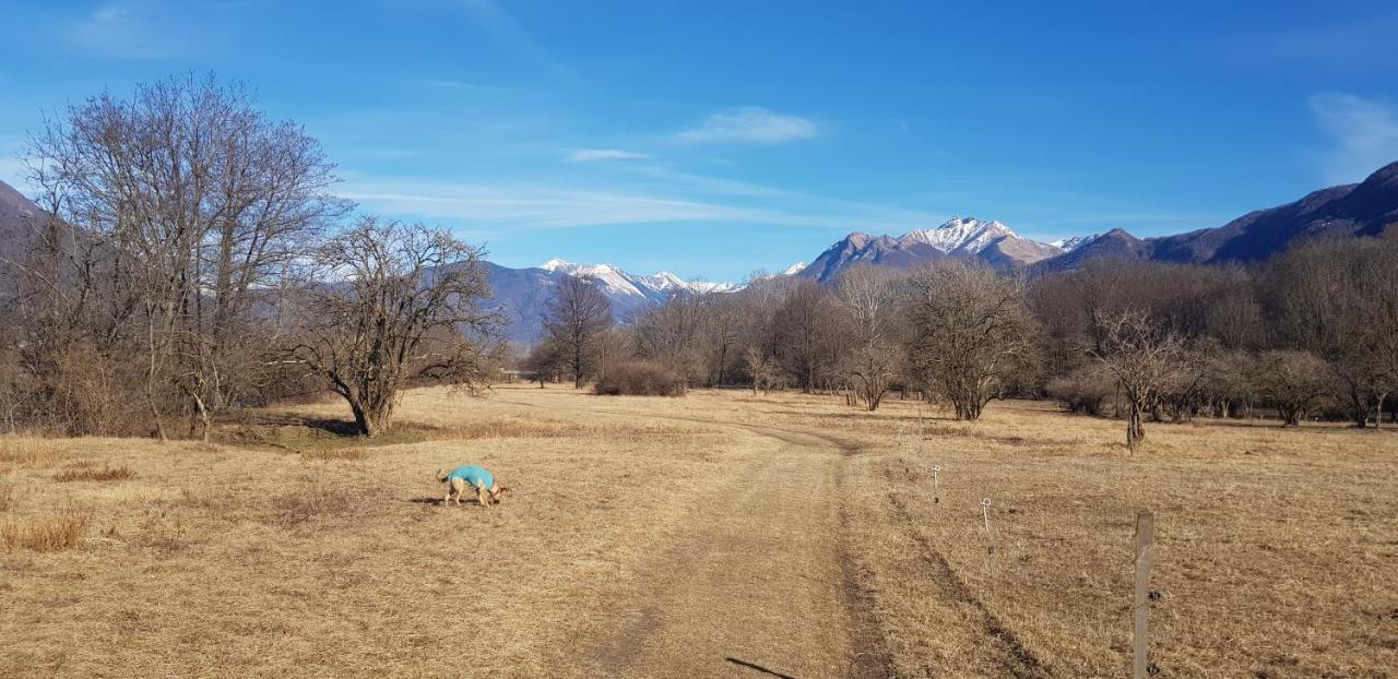 Appartamento Di Vacanza Casa Leoni Verscio Dış mekan fotoğraf